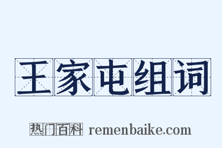 王家屯组词是什么意思的图片